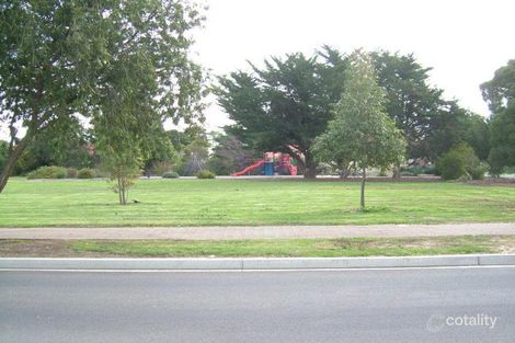 Property photo of 11 Moseley Road Paradise SA 5075