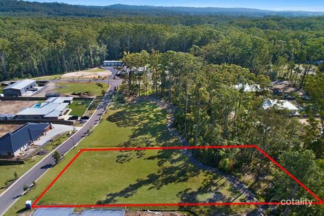 Property photo of 11 Staghorn Close Palmview QLD 4553