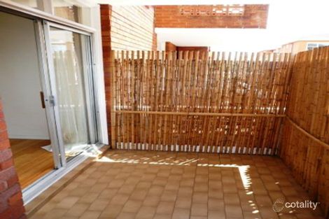 Property photo of 5/19 Pine Street Randwick NSW 2031
