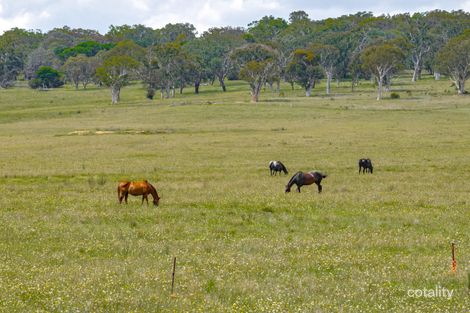 Property photo of 374 Breadalbane Road Collector NSW 2581