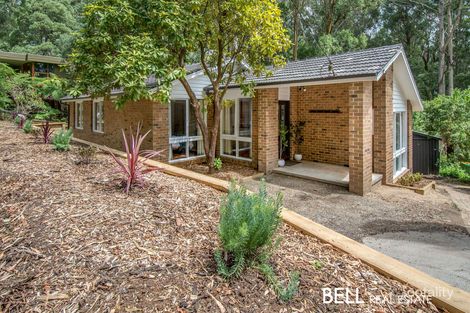 Property photo of 11 Alice Street Sassafras VIC 3787