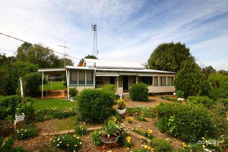 Property photo of 51-53 Nombi Street Mullaley NSW 2379