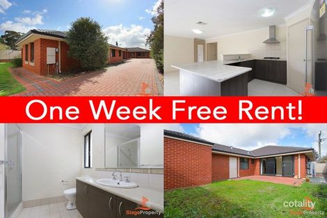 1/181 Manning Rd, Bentley, WA 6102