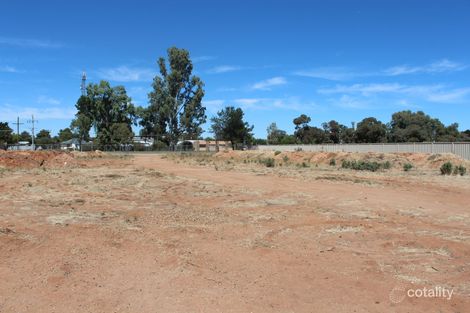 Property photo of 8 Robin Street Robinvale VIC 3549