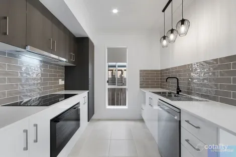 Property photo of 9 Petermann Circuit Yarrabilba QLD 4207