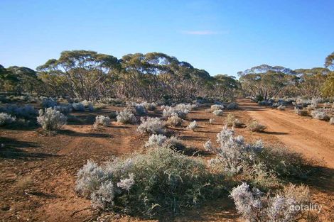 Lot 252 Twill Rd, Eba, SA 5320