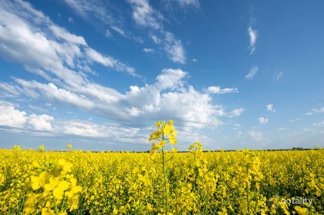 450 White Rd, Jerramungup, WA 6337