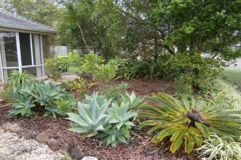 Property photo of 14 Beaverbrook Circuit Sippy Downs QLD 4556