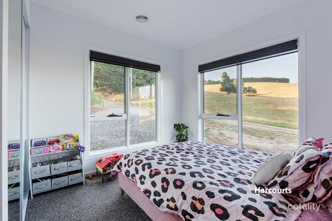 Property photo of 80 Tippetts Road Mount Hicks TAS 7325