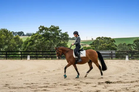 Property photo of 365 Chapel Lane Nutfield VIC 3099