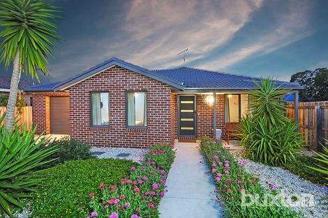 1/49 Francis St, Belmont, VIC 3216
