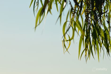 6/76 Taylor St, Ascot, VIC 3551