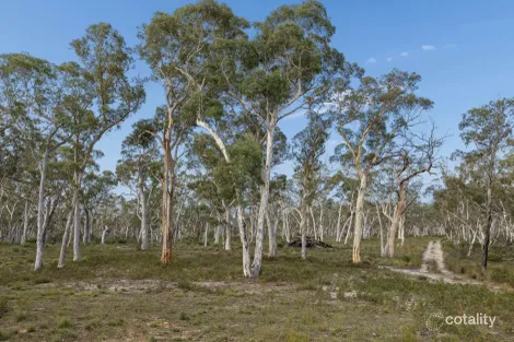 328 Wolgon Rd, Oallen, NSW 2622