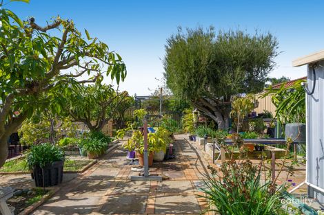 Property photo of 6 Lambourne Retreat Mirrabooka WA 6061