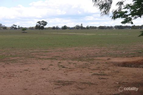 3553 Tomingley Rd, Tomingley, NSW 2869