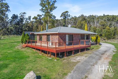 981 Jensens Rd, North Scottsdale, TAS 7260