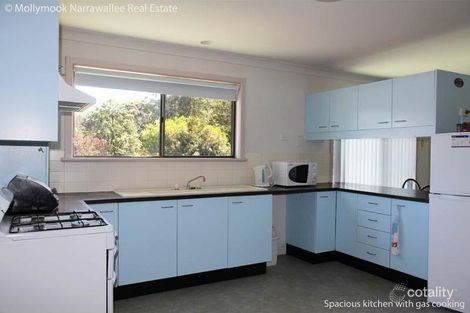 Property photo of 21 Bushland Avenue Mollymook Beach NSW 2539