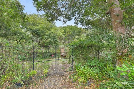 Property photo of 31 Spoonbill Street Peregian Beach QLD 4573
