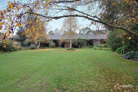 19-21 Williams Rd, Park Orchards, VIC 3114