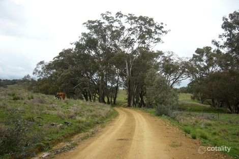 1019 Corringle Lane, Taylors Flat, NSW 2586