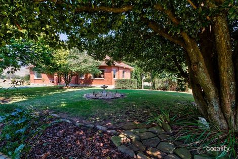 3709 Omeo Hwy, Eskdale, VIC 3701