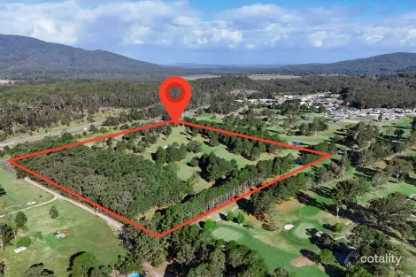 221 Nancy Bird Walton Dr, Kew, NSW 2439