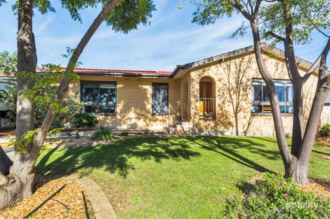 Property photo of 41 Robbie Drive Reynella East SA 5161