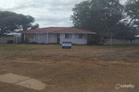 17 Williamson St, Three Springs, WA 6519