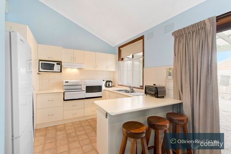 Property photo of 14 Bernard Street Cheltenham VIC 3192