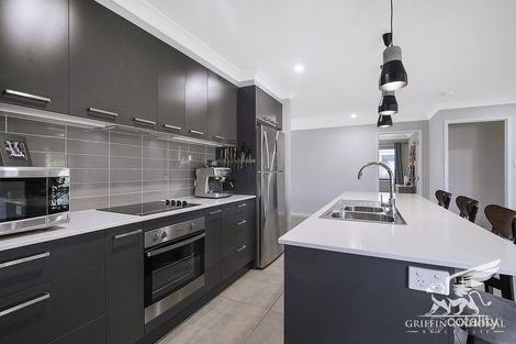 Property photo of 18 Cycad Drive Upper Caboolture QLD 4510