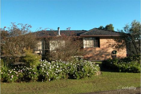 6 Jacaranda Ave, Wingham, NSW 2429
