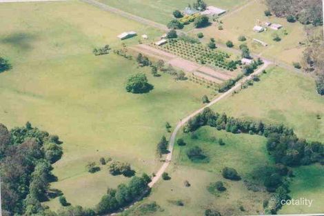 Property photo of 891 Yarramalong Road Wyong Creek NSW 2259