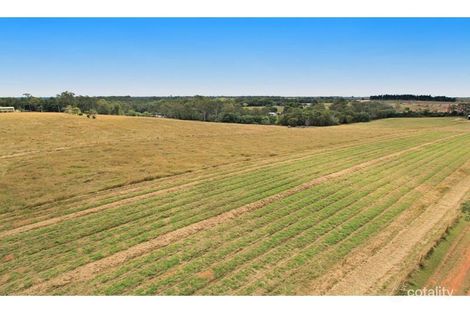 Property photo of 31 Whalleys Road South Kolan QLD 4670