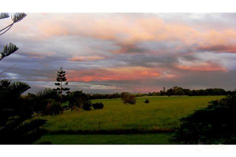 Property photo of 31 Whalleys Road South Kolan QLD 4670