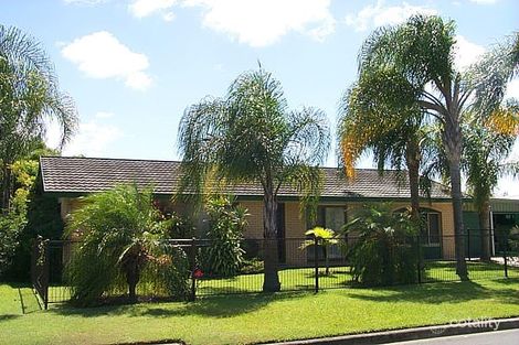 Property photo of 7 Menindee Avenue Coombabah QLD 4216