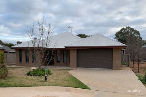 Property photo of 17 Wentworth Street Wentworth NSW 2648