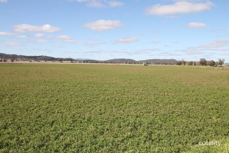 2483 Kamilaroi Hwy, Quipolly, NSW 2343