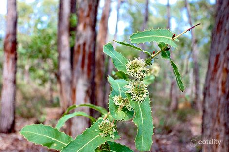 Property photo of 1 Hebb Court Parkerville WA 6081