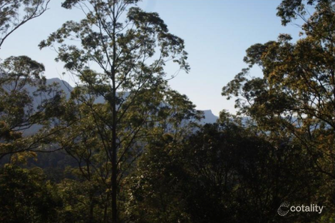 339 Mount Burrell Rd, Mount Burrell, NSW 2484