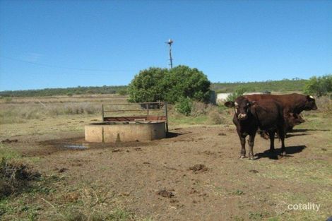 16888 Gwydir Hwy, Biniguy, NSW 2399