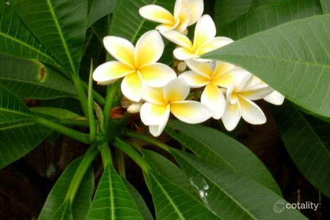 115 Canterbury Rd, Canterbury, NSW 2193