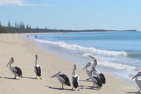 Property photo of 9 Macadamia Court Woodgate QLD 4660