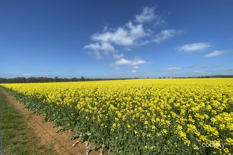 404 Ballards Rd, Thuddungra, NSW 2594