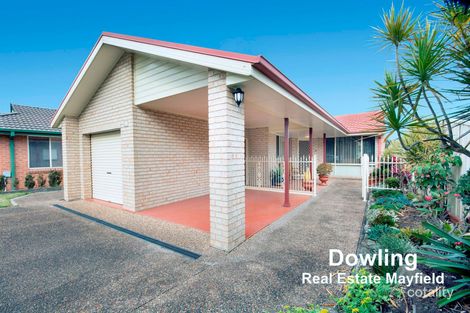 Property photo of 29 Bakeri Circuit Warabrook NSW 2304