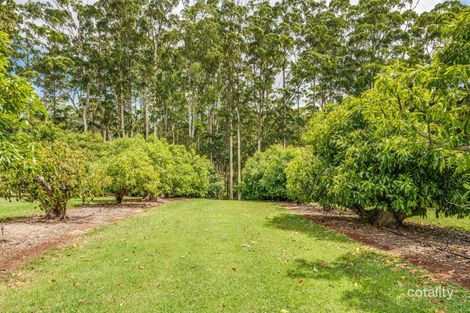 47 Manitzky Rd, Tamborine Mountain, QLD 4272
