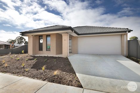 1 Volt St, Winter Valley, VIC 3358