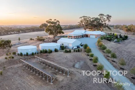 127 Moccundunda North Rd, Stanley Flat, SA 5453