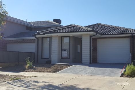 Property photo of 51 Blackcurrant Circuit Mernda VIC 3754