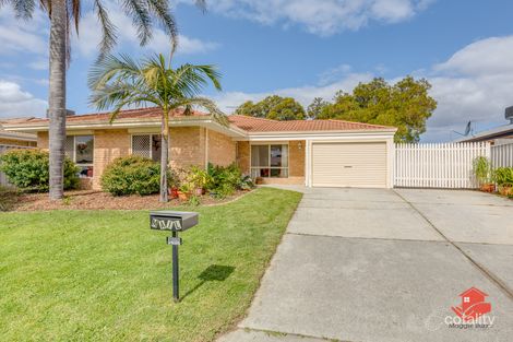 58 Seminole Gdns, Seville Grove, WA 6112