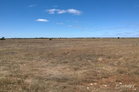 Property photo of 476 Mallee Highway Elwomple SA 5260